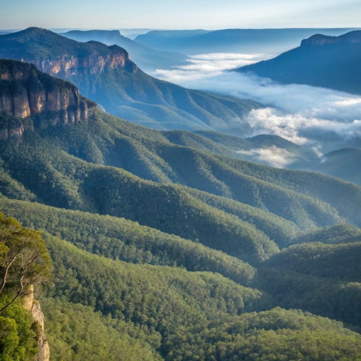 Blue Mountains